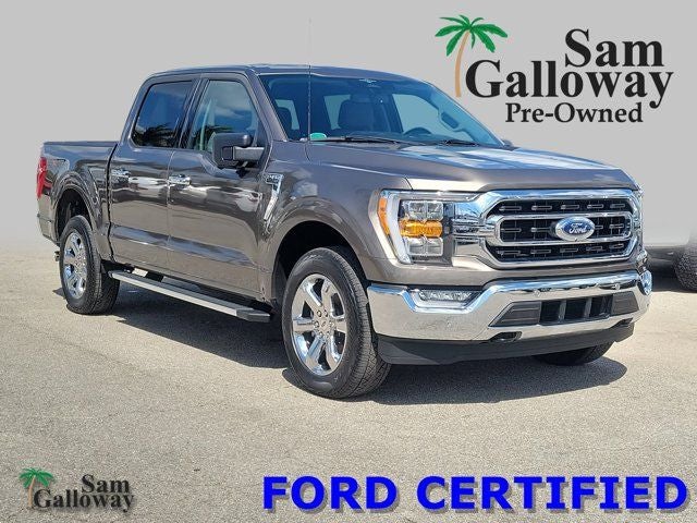 2023 Ford F-150 XLT in Stone Gray Metallic — front three-quarter view